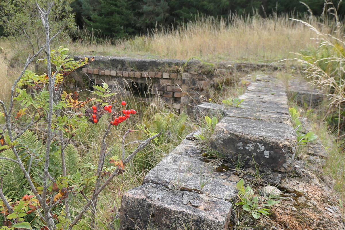 remains of coal mining works at Southrigg