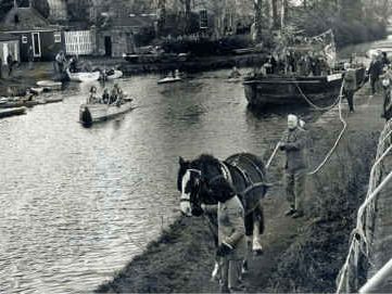 Pony pulling a barge on Linlithgow's Canal Basin.