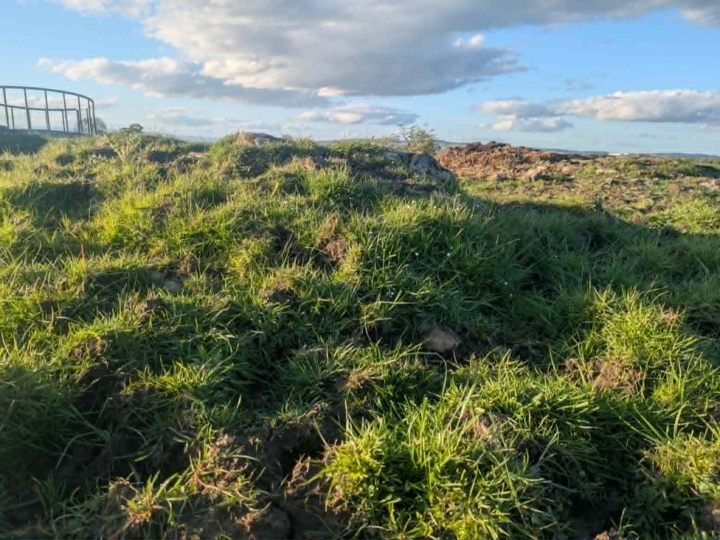 Ruins of Bells town