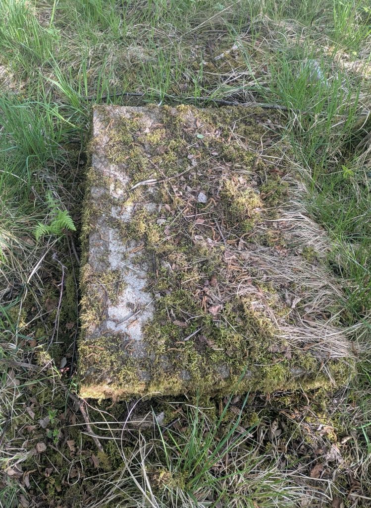 Lid of an air duct for a Torbanite mine on the torbanehill estate
