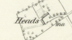 Heads