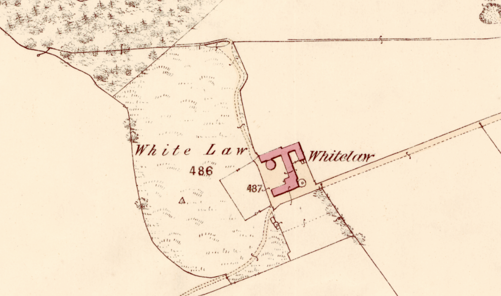 Whitelaw
